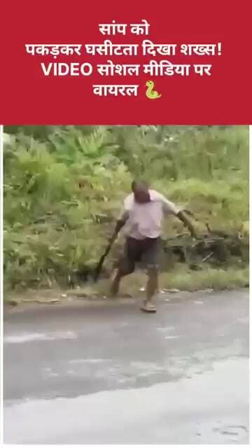 सांप को पकड़कर घसीटता दिखा शख्स! VIDEO सोशल मीडिया पर वायरल