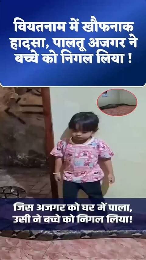 वियतनाम में खौफनाक हादसा, पालतू अजगर ने बच्चे को निगल लिया !
#Vietnam #Python #PythonAttack #PetPython #ViralNews ShockingNews Baran Rajasthan