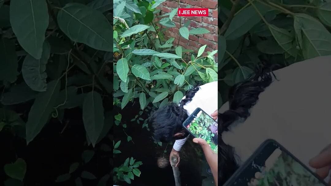 Basti: अचानक कुएं में कोबरा मिलने से मचा हड़कंप_ पार्ट पांच #shorts #ijeenews #viral #kobra #basti