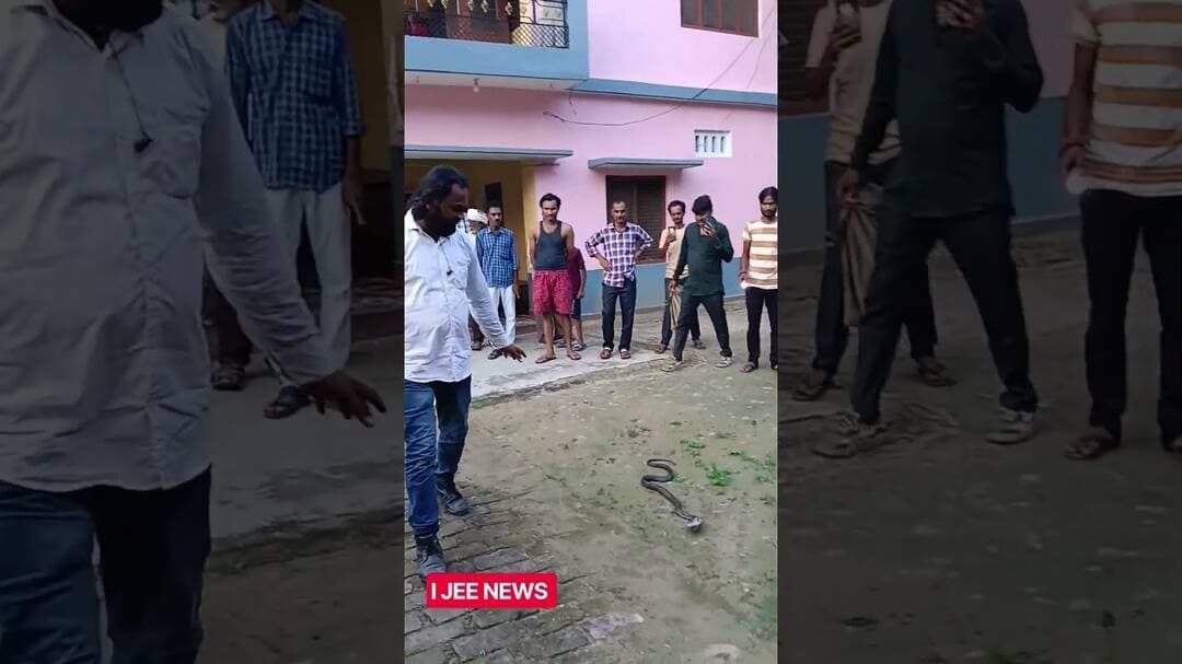 Basti: अचानक कुएं में कोबरा मिलने से मचा हड़कंप_ पार्ट चार #shorts #ijeenews #viral #kobra #basti