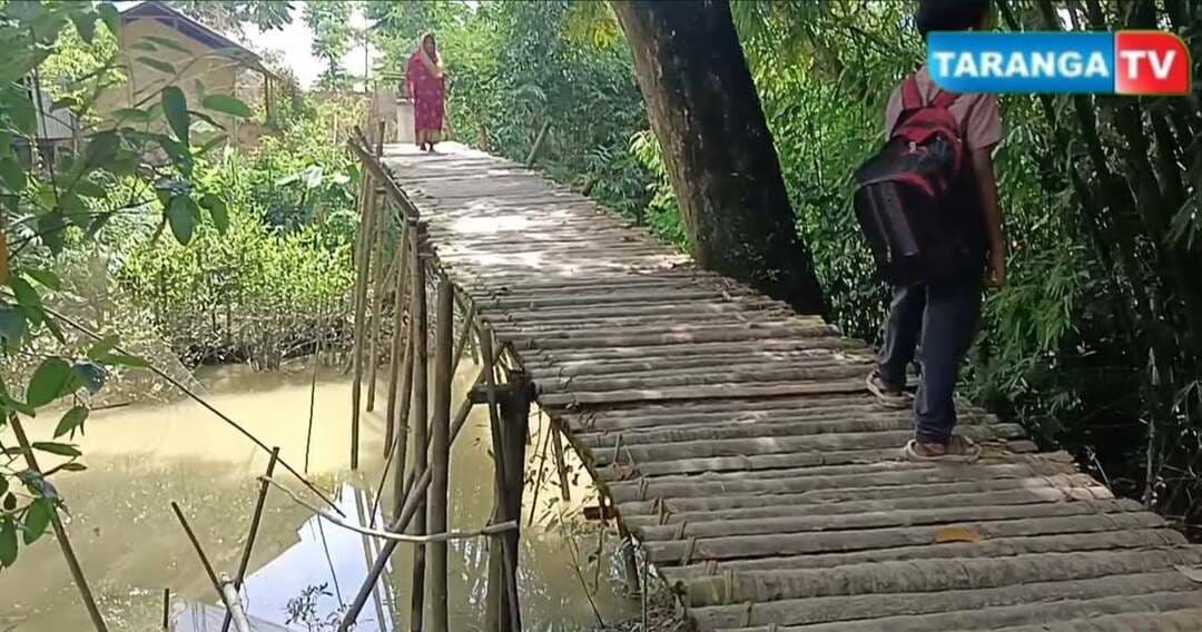 বড় হাইলাকান্দি এলাকায় সংযোগকারী মরাগাঁঙের ওপর নড়বড়ে বাঁশের সাঁকো দিয়ে জীবনের ঝুকি নিয়ে যাতায়াত করেন স্কুল পড়ুয়া সহ এলাকার মানুষ