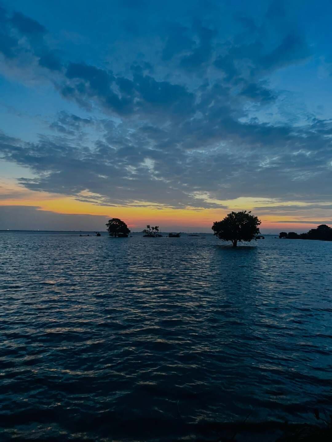 The calm before the world wakes up. Mornings on the holy Ganga hit differently. ЁЯМЕтЬи
Drop a тАШЁЯТЩтАЩ if this brought you peace.
GangaRiver <nis:link nis:type=tag nis:id=morningvibes nis:value=MorningVibes nis:enabled=true nis:link/> <nis:link nis:type=tag nis:id=holyganga nis:value=HolyGanga nis:enabled=true nis:link/> <nis:link nis:type=tag nis:id=sunrisephotography nis:value=SunrisePhotography nis:enabled=true nis:link/> <nis:link nis:type=tag nis:id=patna_beauty_ nis:value=patna_beauty_ nis:enabled=true nis:link/>