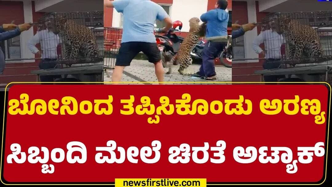 Nepal : Lamjung Forest Officeಯಲ್ಲಿದ್ದ ಬೋನ್ನಲ್ಲಿದ್ದ ಚಿರತೆ | Leopard Attack |@newsfirstkannada