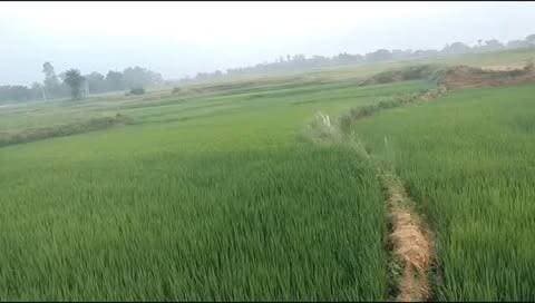 इन हवाओं में बहके फिजाओं....
