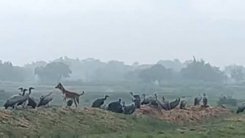 वक्त बदलता है चेहरे बदलतें हैं...