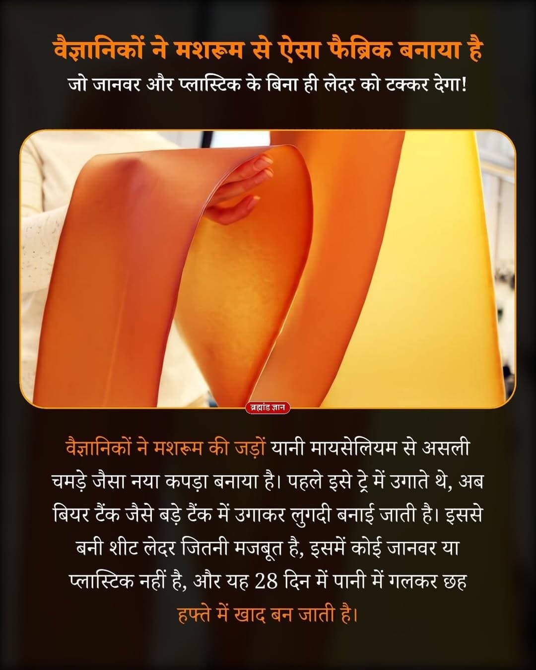 मशरूम की जड़ों से बना एक नया फैब्रिक अब चमड़े को टक्कर देने की दिशा में पहुंच गया है।
खास बात यह है कि इसे जानवरों की खाल या पेट्रोलियम आधारित प्लास्टिक के बिना बनाया गया है।
असल में यहां मशरूम के ऊपर दिखने वाले हिस्से की बात नहीं हो रही। वैज्ञानिक मायसीलियम का इस्तेमाल कर रहे हैं—यह फंगस के बेहद महीन धागों जैसा जाल होता है, जो मिट्टी या दूसरी सतह के अंदर फैलता है।
पहले मायसीलियम को ट्रे में उगाकर सीधे शीट बनाने की कोशिश होती थी। समस्या यह थी कि ऐसा तरीका बड़े पैमाने पर उत्पादन के लिए धीमा और मुश्किल था।
नई रिसर्च में फिनलैंड के वैज्ञानिकों ने फंगस को बीयर बनाने वाले टैंक जैसे बड़े बायोरिएक्टर में पोषक तरल के अंदर उगाया। इससे मायसीलियम एक मोटी, लुगदी जैसी सामग्री में बदल गया, जिसे बाद में धोकर और दूसरे जैव-आधारित पदार्थों के साथ मिलाकर पतली शीट में बदला गया।
इस मिश्रण में सॉर्बिटोल ने सामग्री को ज्यादा लचीला बनाने में मदद की, जबकि नैनोफाइब्रिलेटेड सेलुलोज ने इसकी मजबूती बढ़ाई। इसके बाद रोलर सिस्टम से लगातार शीट तैयार की गई।
वैज्ञानिकों ने करीब 20 सेंटीमीटर चौड़ी और 8 मीटर लंबी लगातार मायसीलियम शीट बनाने का प्रदर्शन किया। इसी सामग्री से एक प्रोटोटाइप हैंडबैग भी बनाया गया।
लैब टेस्ट में इसकी तन्यता की ताकत कुछ पारंपरिक लेदर के स्तर के बराबर पहुंची। लेकिन इसे अभी असली चमड़े का पूरा विकल्प कहना जल्दबाजी होगी, क्योंकि फटने और लंबे समय तक घिसने के खिलाफ इसकी मजबूती को और बेहतर करना बाकी है।
सबसे दिलचस्प हिस्सा इसका बायोडिग्रेडेशन है। पानी वाली परिस्थितियों में 28 दिनों के बाद करीब 77% बायोडिग्रेडेशन देखा गया। वहीं औद्योगिक कंपोस्टिंग की परिस्थितियों में शीट करीब छह हफ्तों में पूरी तरह बिखर गई।
यानी भविष्य में बैग, जूते और फैशन प्रोडक्ट ऐसे पदार्थ से बन सकते हैं, जिसका कच्चा माल फंगस से आए और इस्तेमाल के बाद इसका पर्यावरण में टिके रहना कम हो।
फिर भी कीमत, टिकाऊपन, बड़े पैमाने पर उत्पादन और पूरी लाइफ-साइकिल का पर्यावरणीय असर अभी जांचना बाकी है।
अगर मशरूम से बना ऐसा फैब्रिक असली लेदर जितना टिकाऊ और सस्ता हो जाए, तो क्या आप इसे इस्तेमाल करना पसंद करेंगे?
ओरिजन सोर्स: एसीएस एप्लाइड बायो मैटेरियल्स
<nis:link nis:type=tag nis:id=mycelium nis:value=Mycelium nis:enabled=true nis:link/> <nis:link nis:type=tag nis:id=mushroomleather nis:value=MushroomLeather nis:enabled=true nis:link/> <nis:link nis:type=tag nis:id=sustainablefashion nis:value=SustainableFashion nis:enabled=true nis:link/> <nis:link nis:type=tag nis:id=biomaterials nis:value=Biomaterials nis:enabled=true nis:link/> <nis:link nis:type=tag nis:id=f nis:value=F nis:enabled=true nis:link/>
