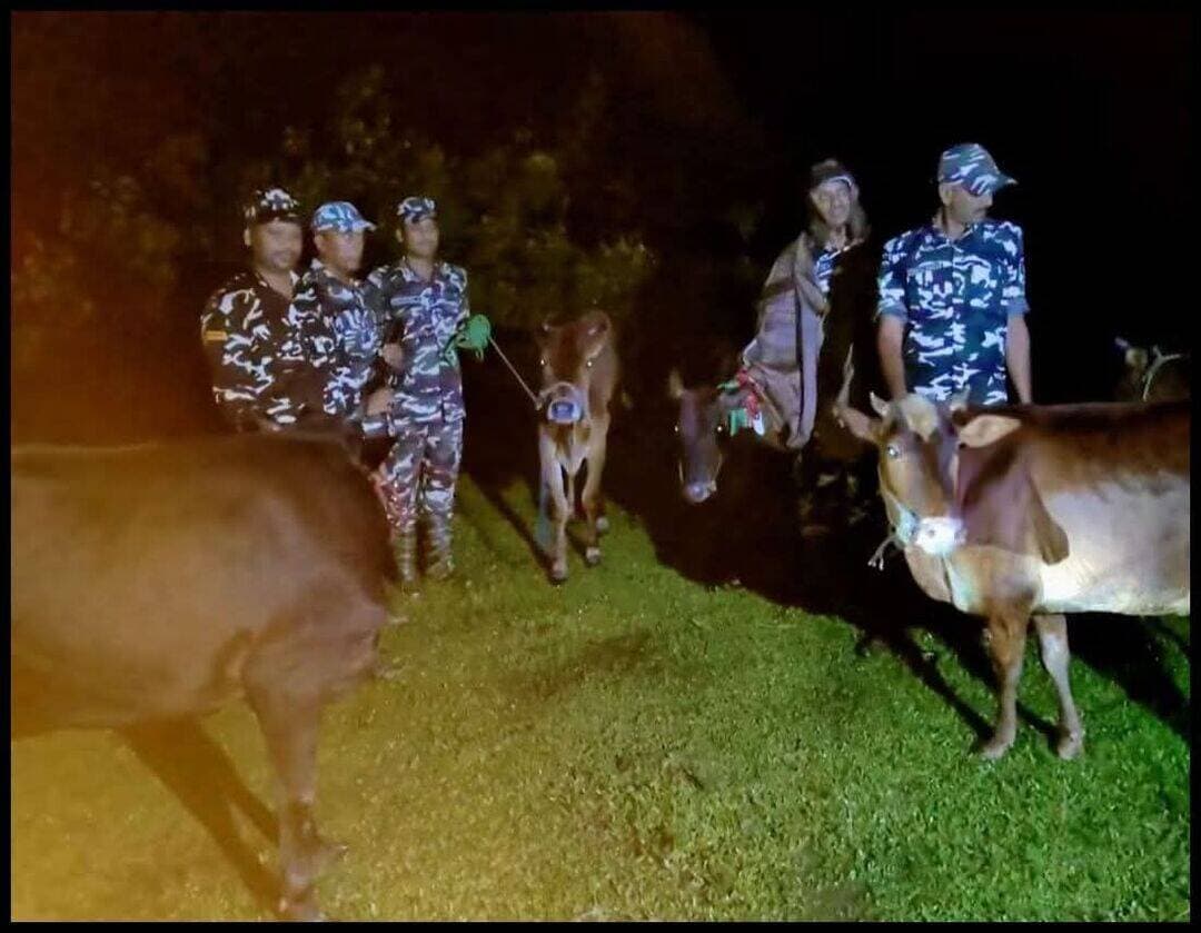 किशनगंज टेढ़ागाछ में SSB ने 5 तस्करी के पशु जब्त किए, तस्कर नेपाल भागे
भारत-नेपाल पिलर संख्या 154 के पास 12वीं बटालियन पैकटोला SSB ने आज सुबह 4 बजे कार्रवाई की। तस्करी के 5 पशु जब्त, जब्ती सूची बनाकर टेढ़ागाछ थाना को सौंपा। अंधेरे का फायदा उठाकर तस्कर नेपाल फरार।