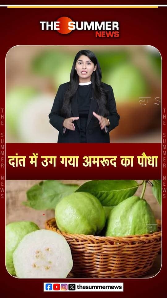 दांत में उग गया अमरूद का पौधा