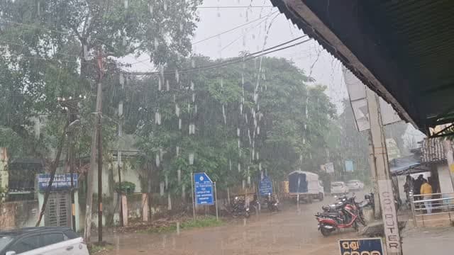 ପଦ୍ମପୁର #ବର୍ଷା
#everyonefollowers
#padampurtv
#viralchallenge
#highlightseveryone