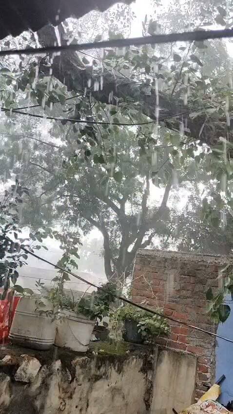 चित्तौड़गढ़ जिले के रावतभाटा में शुरू हुई तेज बारिश