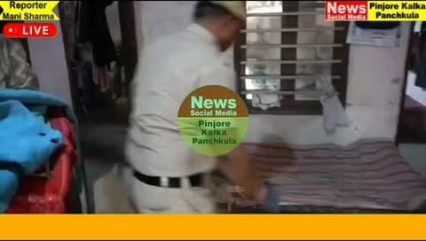 मढ़ांवाला में पुलिस ने स्निफर डॉग्स के साथ 11 स्पेशल टीमों के 80 जवानों ने 340 घरों व झुग्गियों को खंगाला, 46 मोटरसाइकिल बरामद, 6 संदिग्ध हिरासत में
Like /comment /share / follow instagram and you tube subscribe
https://nsmpkp.com News Social Media Pinjore Kalka Panchkula Reporter mani Pinjore / kalka 12-9-2026,
my E-mail:manisharma4009@ gmail.com what's app no:-9896944009