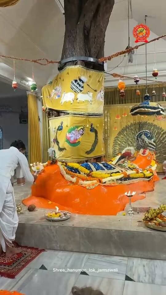 *दिनांक 12/09/26 दिन शनिवार आज के संध्या कालीन आरती दर्शन!* *जय श्री राम जय हनुमान 🌸🙇🏼🚩*