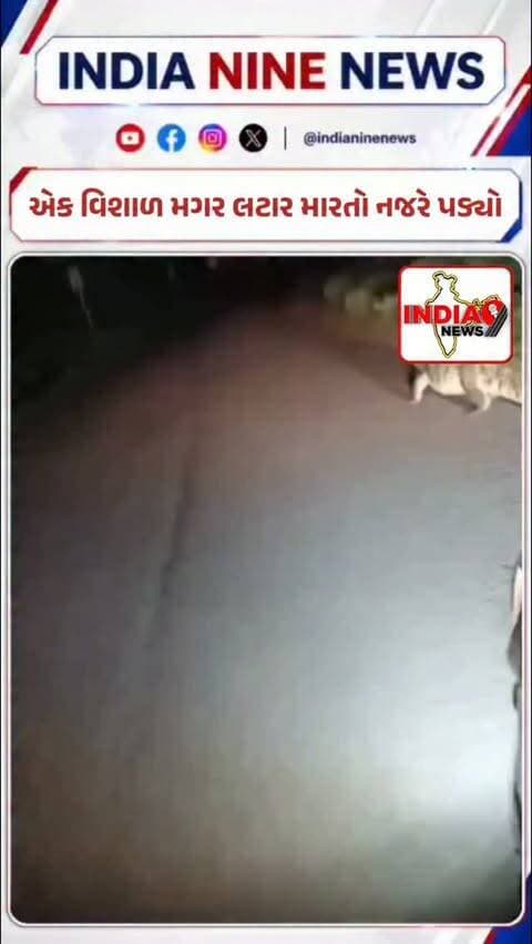 રૂસ્તમપુરાથી માલુ તરફ જતા રોડ પર રાત્રિના સમયે એક વિશાળ મગર લટાર મારતો નજરે પડ્યો....
રોડ પરથી પસાર થઈ રહેલા એક વાહનચાલકે આ અદભુત નજારો પોતાના મોબાઈલના કેમેરામાં કેદ કર્યો....
#ᴠɪʀᴀʟᴘᴏsᴛ #viralreeĺs #viralvideos #viralpost #viralvideochallenge