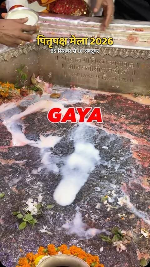 पितृपक्ष मेला 2026
#gaya#pitrapakshmela#mela#gayaji#pitrapaksh