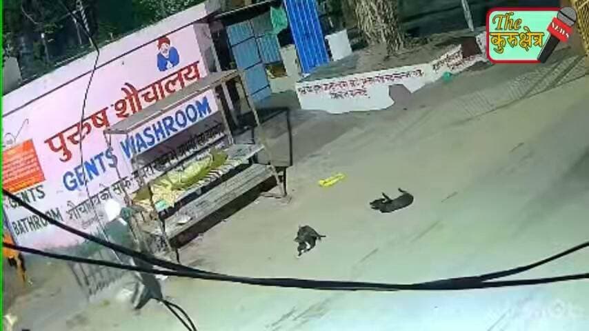रेहड़ी पर सो रहे महबूर पर कर दिया अचानक हमला, पुलिस ने दबोच लिया
The कुरुक्षेत्र Kurukshetra News कुरुक्षेत्र