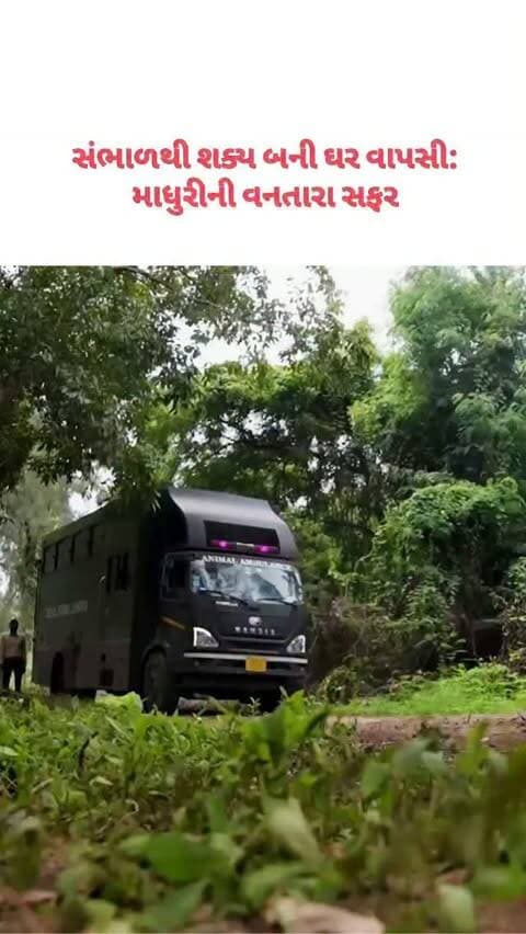 સંભાળથી શક્ય બની ઘર વાપસી: માધુરીની વનતારા સફર