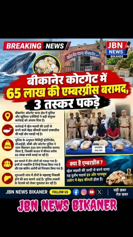 बीकानेर कोटगेट में 65 लाख की एम्बरग्रीस बरामद,
3 तस्कर पकड़े
बीकानेर। कोटगेट थाना क्षेत्र में पुलिस और खुफिया एजेंसियों ने बड़ी संयुक्त कार्रवाई को अंजाम दिया है। कार्रवाई में व्हेल मछली की उल्टी से बनने वाले बेहद कीमती पदार्थ एम्बरग्रीस की बड़ी खेप पकड़ी गई है।
पुलिस के अनुसार मिलिट्री इंटेलिजेंस, सीआईडी, सीबी और कोटगेट पुलिस ने जाल बिछाकर 650 ग्राम एम्बरग्रीस बरामद किया है, जिसकी बाजार में कीमत करीब 65 लाख रुपये बताई जा रही है।
इस मामले में तीन लोगों को पकड़ा गया है। इनमें दो नाबालिग हैं जिन्हें निरुद्ध किया गया है और एक बालिग आरोपी को गिरफ्तार किया गया है। शुरुआती जांच में तीनों के महाराष्ट्र निवासी होने की बात सामने आई है। पुलिस तस्करी के नेटवर्क को लेकर पूछताछ कर रही है।
