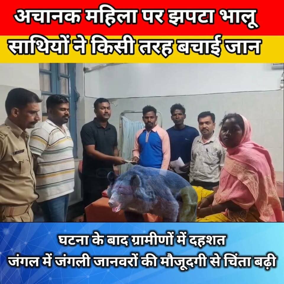 27 नंबर जाने वाले रास्ते के जंगल में भालू का ह*मला
दतवन तोड़ रही महिला गं*भीर रूप से घा*यल