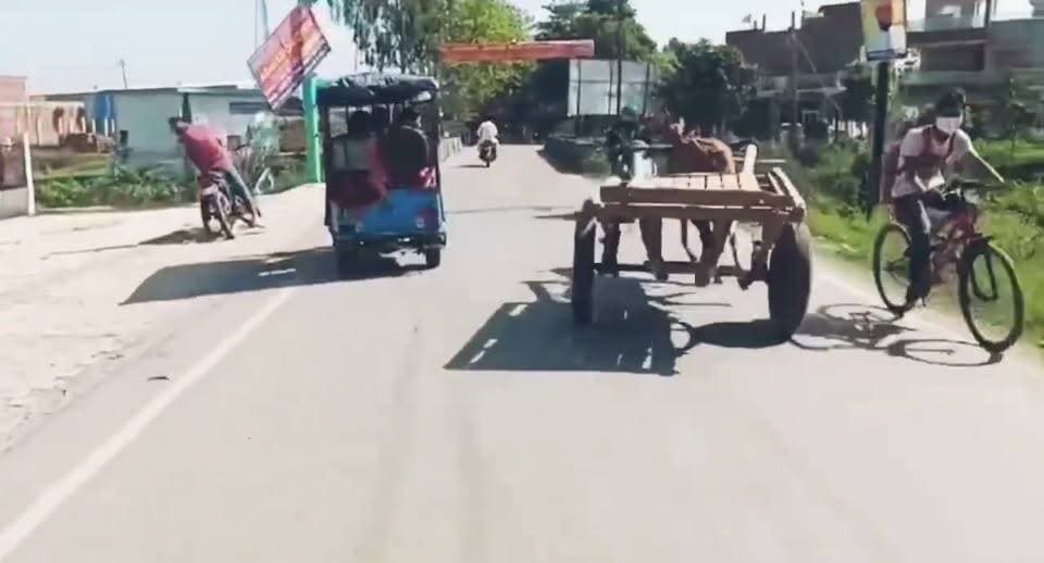 рдКрдзрдо рд╕рд┐рдВрд╣ рдирдЧрд░ рдореЗрдВ рдЪрд╛рд▓рдХ рдХреЗ рдЧрд┐рд░рддреЗ рд╣реА рдмреЗрдХрд╛рдмреВ рд╣реБрдЖ рддрд╛рдВрдЧрд╛! рд╕рдбрд╝рдХ рдкрд░ рджреМрдбрд╝рддреЗ рддрд╛рдВрдЧреЗ рдиреЗ рдХрдИ рд╡рд╛рд╣рдиреЛрдВ рдХреЛ рдЯрдХреНрдХрд░ рдорд╛рд░реА, рд╣рд╛рджрд╕реЗ рдореЗрдВ рдХрдИ рд▓реЛрдЧ рдШрд╛рдпрд▓ред