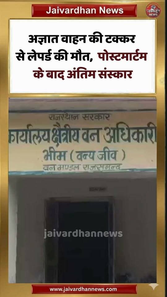 अज्ञात वाहन की टक्कर से लेपर्ड की मौत, पोस्टमार्टम के बाद अंतिम संस्कार #rajsamandnews #panther