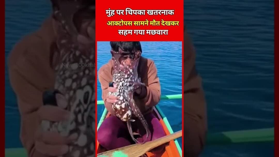 मुंह पर चिपका जानलेवा आक्टोपस,😳#animals #india #ytshorts #viralshorts #trendingshorts