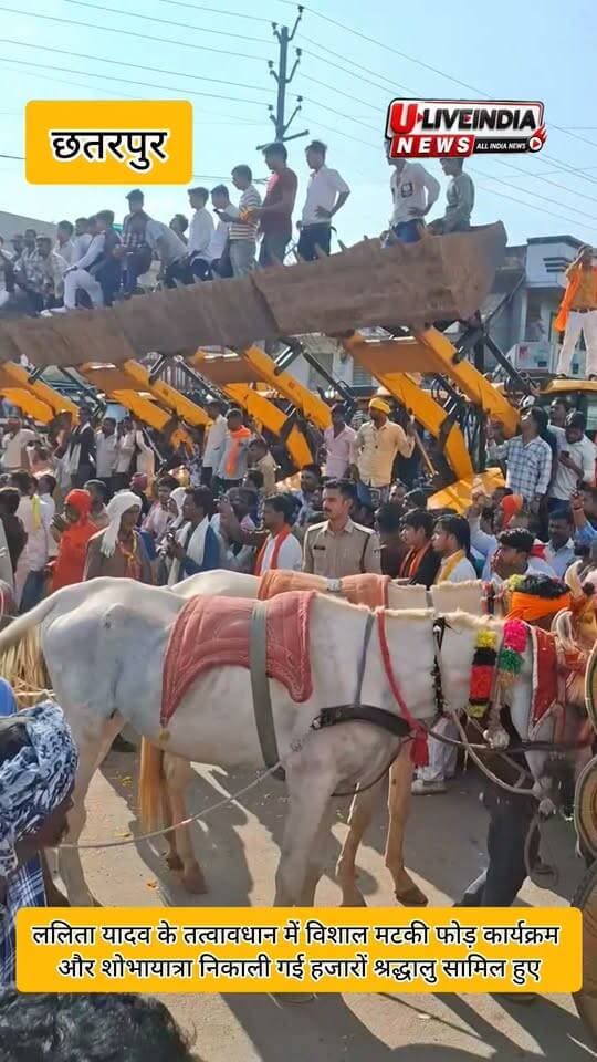 छतरपुर में विधायक ललिता यादव के तत्वावधान में विशाल मटकी फोड़ कार्यक्रम और शोभायात्रा निकाली गई हजारों श्रद्धालु सामिल हुए