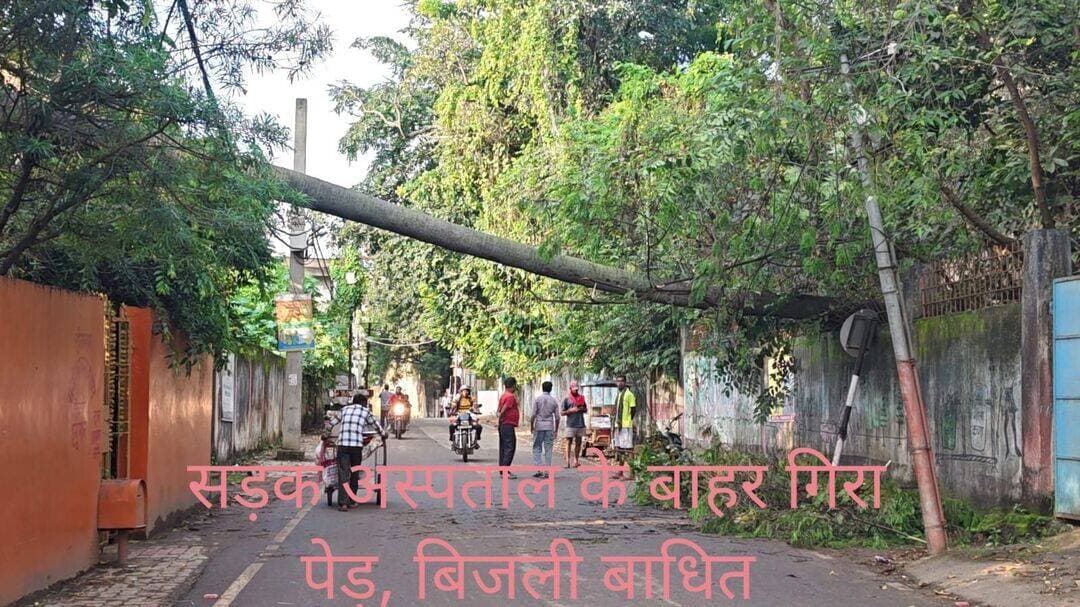 सदर अस्पताल के बाहर सड़क पर गिरा पेड़, बिजली बाधित आवाजाही प्रभावित