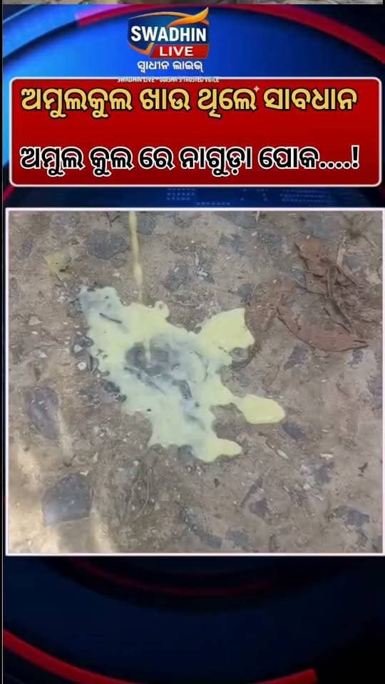 ଅମୁଲ କୁଲ ରେ ପୋକ !