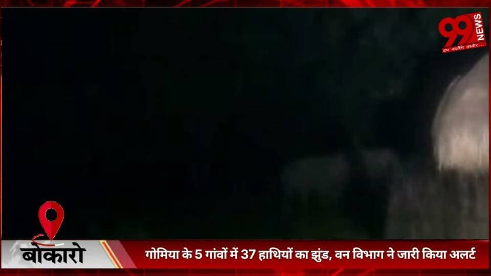 #बोकारो : #गोमिया के 5 #गांवों में 37 #हाथियों का #झुंड, #वन #विभाग ने #जारी #किया #अलर्ट