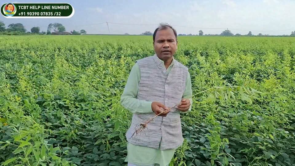 🌱 **अरहर की फसल — प्राकृतिक खेती की एक सुंदर मिसाल! 🌿**
TCBT कृषि पद्धति के माध्यम से अरहर की फसल में प्राकृतिक तरीके से बेहतर वृद्धि और उत्पादन की दिशा में प्रयास किया जा रहा है। 🌾
प्रकृति के साथ तालमेल, स्वस्थ मिट्टी और स्वस्थ पौधे — यही TCBT कृषि का उद्देश्य है। 🌿
🌱 **स्वस्थ जड़ें • स्वस्थ मिट्टी • बेहतर उत्पादन**
📞 Customer Care: +91 90390 07832 | 8871271446
🌐 Website: https://tcbtjaivikkisan.com
📱 TCBT App: https://play.google.com/store/apps/details?id=com.tcbt.myapp
🛒 Products: https://products.tcbtjaivikkisan.com
▶️ YouTube: https://youtube.com/@TarachandBelji
#TCBT #TCBTकृषि #अरहर #अरहरकीफसल #जैविकखेती #प्राकृतिकखेती #जैविककृषि #किसान #खेती #कृषि #organicfarming nis:value=naturalfarming#organicfarming nis:enabled=true nis:link/> #indianfarming #organicfarming #organic #farminglife #farminglife #exploremore #agriculture #agriculturelife #AgriTech #farmers #farmerlife #FarmLand