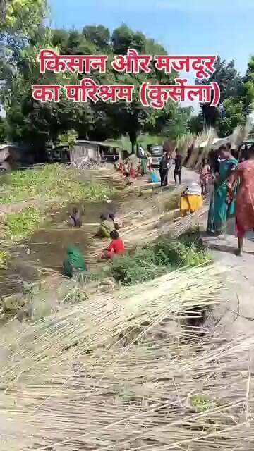 किसान और मजदूर का परिश्रम (कुर्सेला)