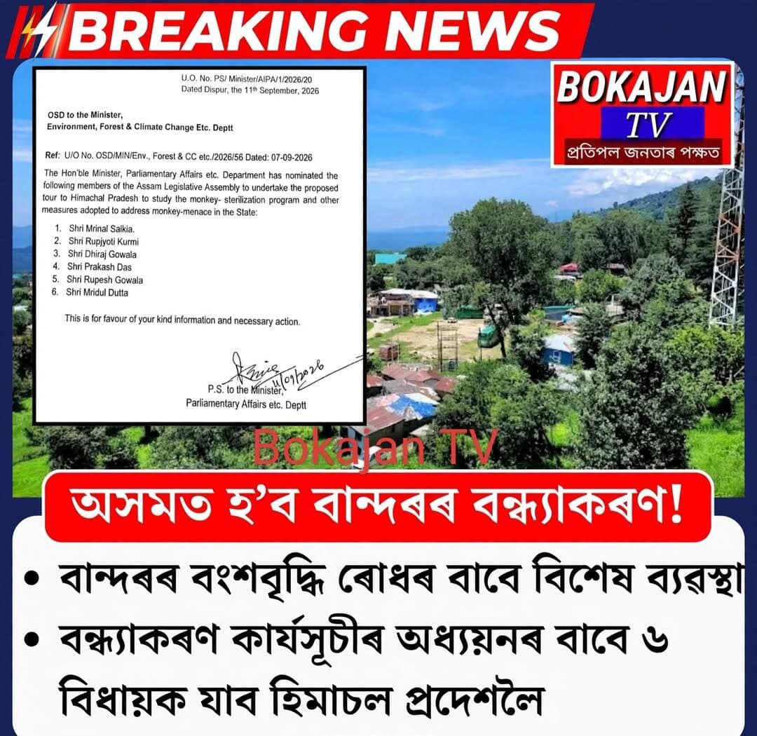 অসমত হ’ব বান্দৰৰ বন্ধ্যাকৰণ।