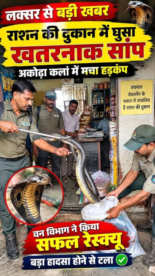 लक्सर से खबर है...
जहां अकोढ़ा कलां गांव में उस वक्त हड़कंप मच गया...
जब राशन की दुकान के अंदर एक खतरनाक सांप घुस आया।
बताया जा रहा है कि यह राशन की दुकान...
जयपाल चेयरमैन के मकान में संचालित हो रही है...
जिसे राजेश धीमान चला रहे हैं।
जानकारी के मुताबिक...
जैसे ही राशन डीलर को दुकान में सांप घुसने की सूचना मिली...
उन्होंने बिना देरी किए वन विभाग की टीम को इसकी जानकारी दी।
सूचना मिलते ही वन विभाग की टीम मौके पर पहुंची...
और कड़ी मशक्कत के बाद सांप का सफलतापूर्वक रेस्क्यू कर लिया।
इसके बाद सांप को सुरक्षित स्थान पर छोड़ दिया गया।
वन विभाग की तत्परता से...
एक बड़ा हादसा होने से टल गया।
फिलहाल, सांप के रेस्क्यू के बाद ग्रामीणों और राशन दुकान संचालक ने राहत की सांस ली है।#LocalNews #SnakeRescueOperation #WildlifeRescue #HaridwarNews #Uttarakhand #ViralNewsIndia