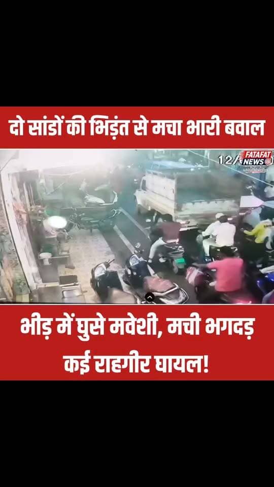 छत्तीसगढ़ के रायगढ़ जिले के व्यस्त हटरी रोड स्थित सिटी कोतवाली मार्ग पर उस वक्त अफरा-तफरी मच गई, जब बीच सड़क पर दो सांड आपस में भिड़ गए। लड़ते-लड़ते दोनों सांड अचानक भारी भीड़ के बीच घुस गए, जिससे मौके पर चीख-पुकार और भगदड़ मच गई। इस अप्रत्याशित घटना में कई राहगीर चपेट में आकर घायल हो गए। सांडों की इस खतरनाक भिड़ंत और उसके बाद लोगों के इधर-उधर भागने का रोंगटे खड़े कर देने वाला पूरा मंजर पास की एक दुकान में लगे सीसीटीवी कैमरे में कैद हो गया।
इस घटना के चलते मुख्य मार्ग पर काफी देर तक आवागमन पूरी तरह ठप रहा और सड़क के दोनों ओर वाहनों की लंबी कतारें लग गईं। स्थानीय दुकानदारों और पुलिसकर्मियों ने कड़ी मशक्कत के बाद दोनों मवेशियों को खदेड़कर स्थिति पर काबू पाया, जिसके बाद यातायात सामान्य हो सका। स्थानीय लोगों ने प्रशासन से शहर के व्यस्त इलाकों में आवारा मवेशियों की रोकथाम के लिए तत्काल सख्त कदम उठाने की मांग की है।
#Raigarh #Chhattisgarh #ViralVideo #BreakingNews #TrafficAlert #CCTVFootage #RaigarhNews #FatafatNews