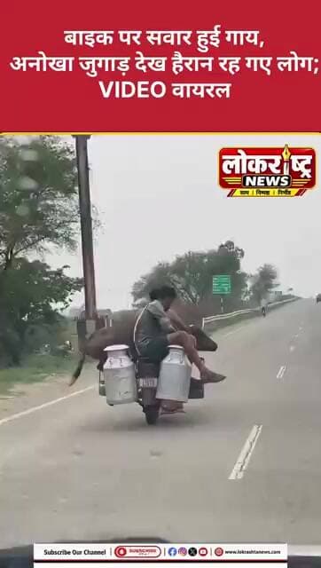 बाइक पर सवार हुई गाय, अनोखा जुगाड़ देख हैरान रह गए लोग; VIDEO वायरल