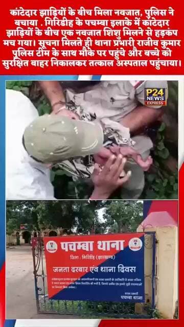 🚨 ब्रेकिंग न्यूज़ | गिरिडीहकांटेदार झाड़ियों के बीच मिला नवजात,
