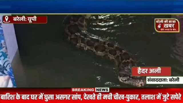 बारादरी के काका टोला मदीना शाह में घर में घुसा असगर सांप, लड़की की नजर पड़ते ही मची अफरा-तफरी #viral #flowers #bareilly #up #news