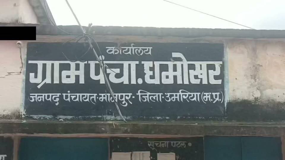 ग्राम धमोखर में बंदरों का आतंक..