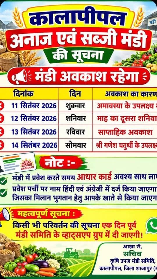15 सितंबर 2026 मंगलवार को मंडी खुलेगी
#viralreels #viralreelsvideo #trending #reelkarofeelkaro #mandibhavkalapipal