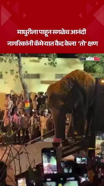 Madhuri Elephant | वनतारातून माधुरी हत्तीण कोल्हापुरात परतली, नागरिकांची तुफान गर्दी | Civic Mirror