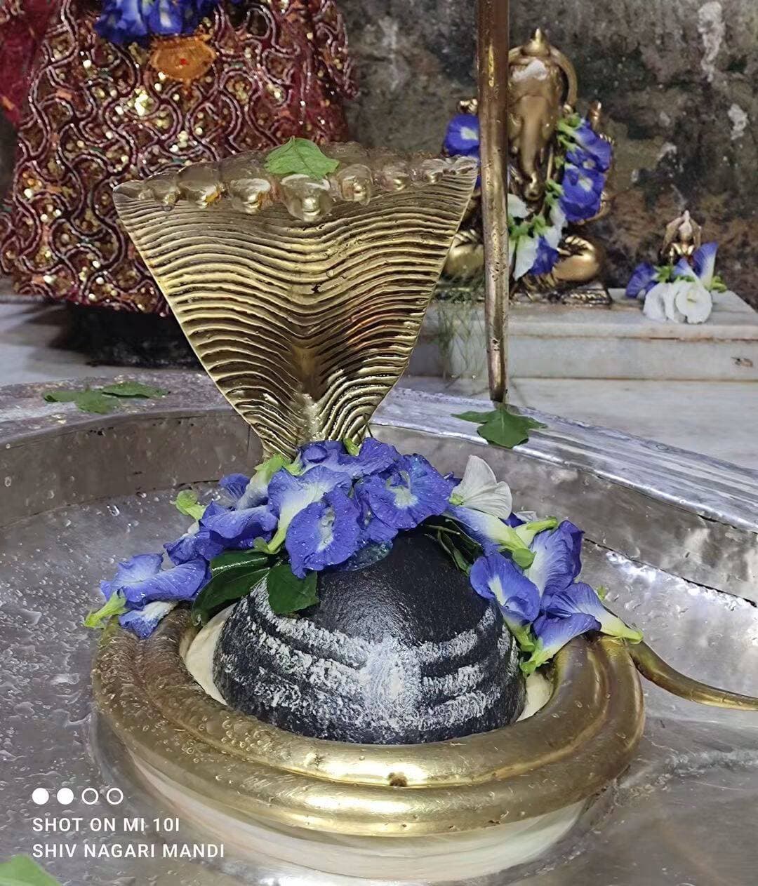 जय बाबा भूतनाथ जी l💐💐🙏