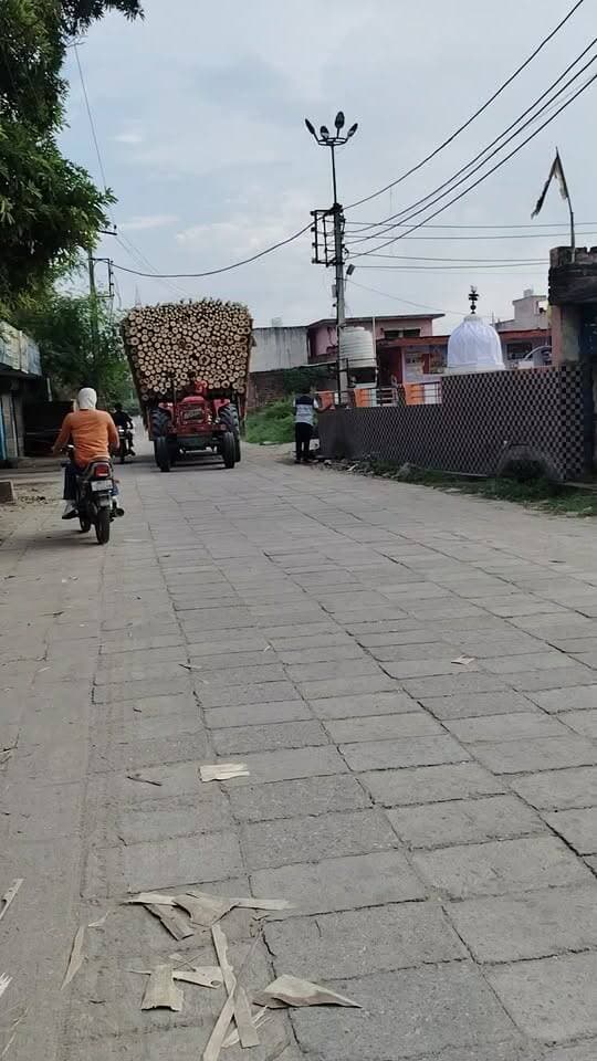 रविवार के दिन भी गांव के लिंक रोड से निकल रही ओवरलोड लक्कड़ से भरी ट्रालियां, प्रशासन की कोई भी कार्रवाई नहीं, ऐसा क्यों