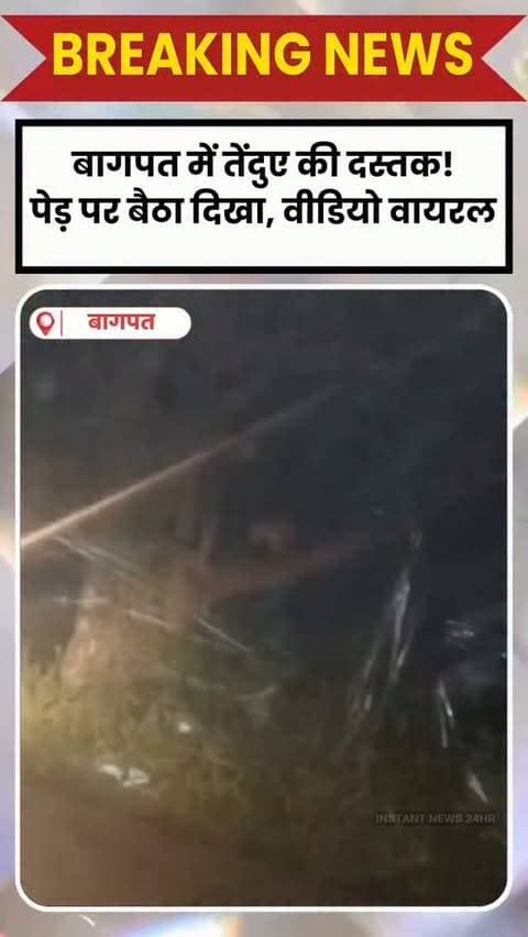 BAGHPAT DESK : बागपत के छपरौली क्षेत्र में शुक्रवार रात पेड़ पर तेंदुआ दिखाई देने का दावा किया गया है। रठौड़ा गांव के ग्रामीणों ने तेंदुए का वीडियो बनाया, जो सोशल मीडिया पर वायरल हो रहा है। रोशनी पड़ते ही तेंदुआ पेड़ से उतरकर जंगल की ओर भाग गया। सूचना पर पुलिस मौके पर पहुंची। वन विभाग की टीम अब वायरल वीडियो और इलाके की जांच करेगी। फिलहाल ग्रामीणों में दहशत का माहौल है।