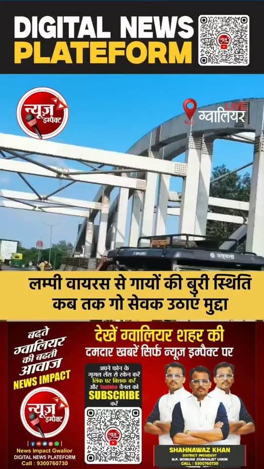 ग्वालियर में लम्पी वायरस से गायों की दयनीय स्थिति, गो सेवक आखिर कब तक उठाएंगे मुद्दा, सुनने वाला कोई नहीं।
#newsimpact #gwaliornews #gwalior
