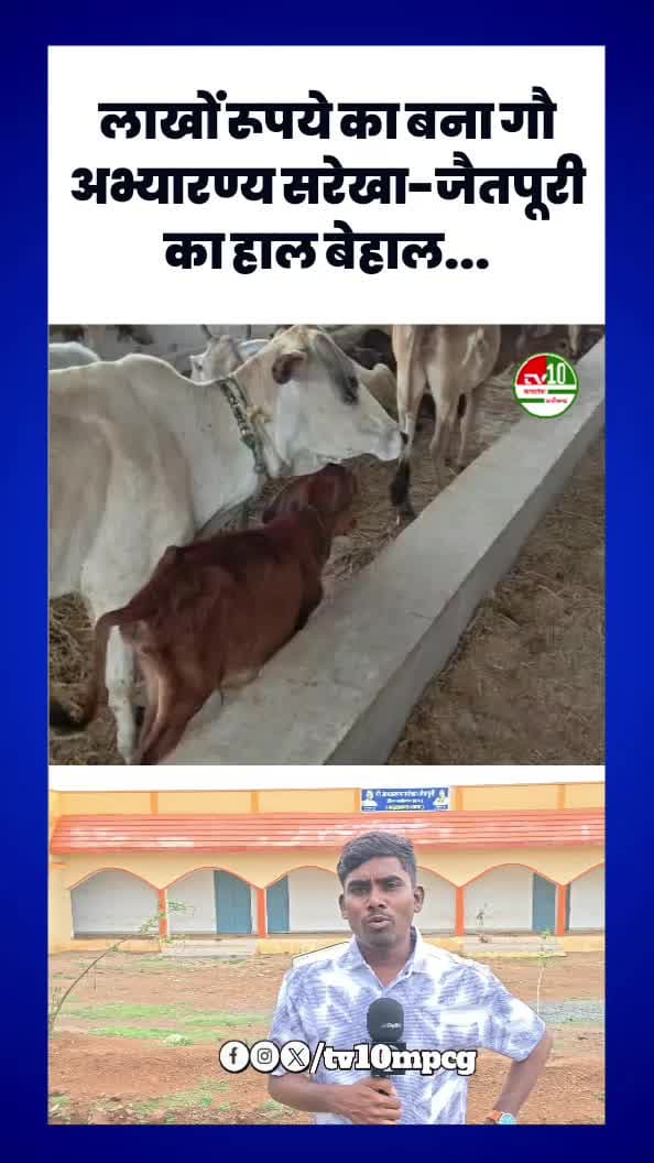 लाखों रुपए का बना गौ अभ्यारणय सरेखा- जैतपुरी का हाल बेहाल 30 लाख रुपए का बना है सद्भभावना भवन एवं 9 लाख 91 हजार रुपए का