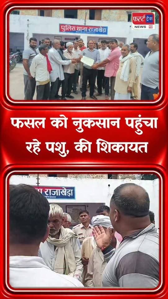 राजाखेड़ा इलाके में खड़ी फसल को नुकसान पहुंचा रहे पशु। Dholpur News
#DholpurNews #rajasthannews #breakingnews #धौलपुर #dholpurpolice