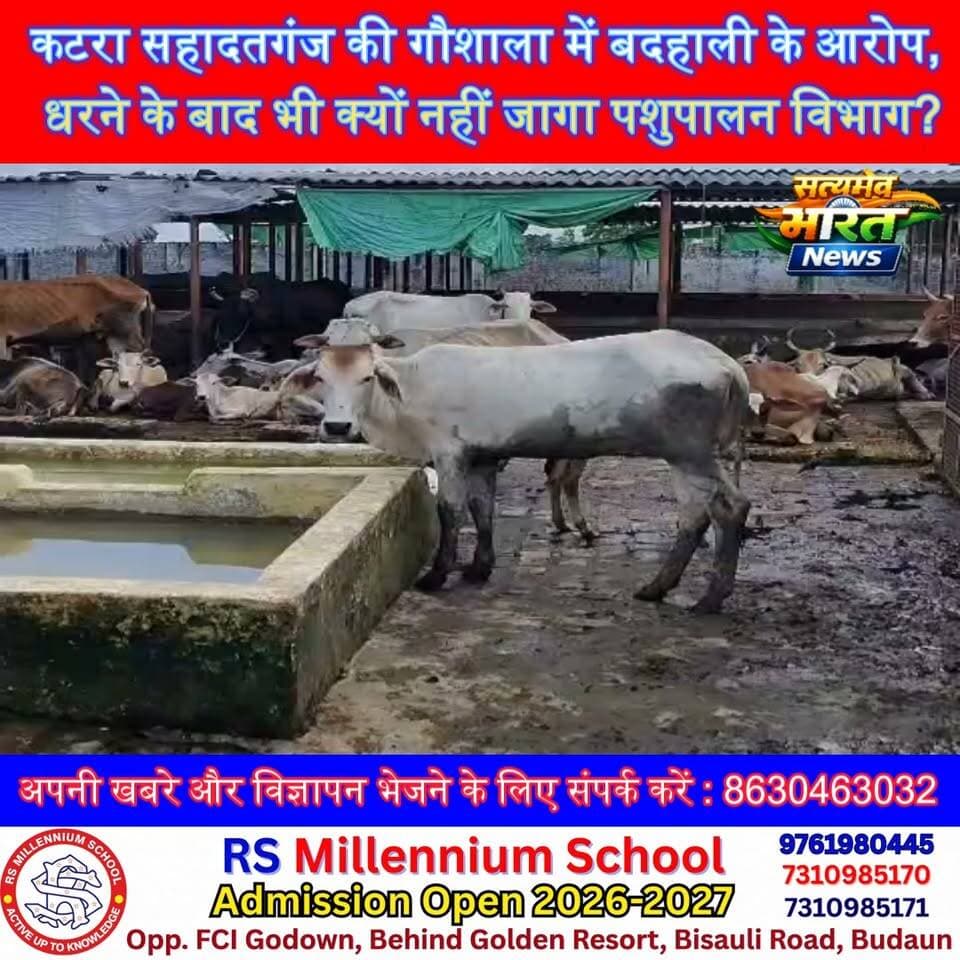 कटरा सहादतगंज की गौशाला में बदहाली के आरोप, धरने के बाद भी क्यों नहीं जागा पशुपालन विभाग? #BudaunNews #Goshala #Cowshed #AnimalWelfare #PashupalanVibhag #Katrasahadatganj #GauSeva #ViralVideo #Budaun #SatyamevBharatNews @ सत्यमेव भारत न्यूज Er Rana Pratap Singh Vikendra Sharma