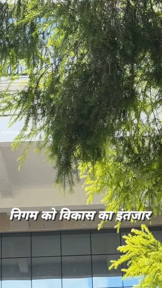विकास पहुंचा आपके वार्ड में?