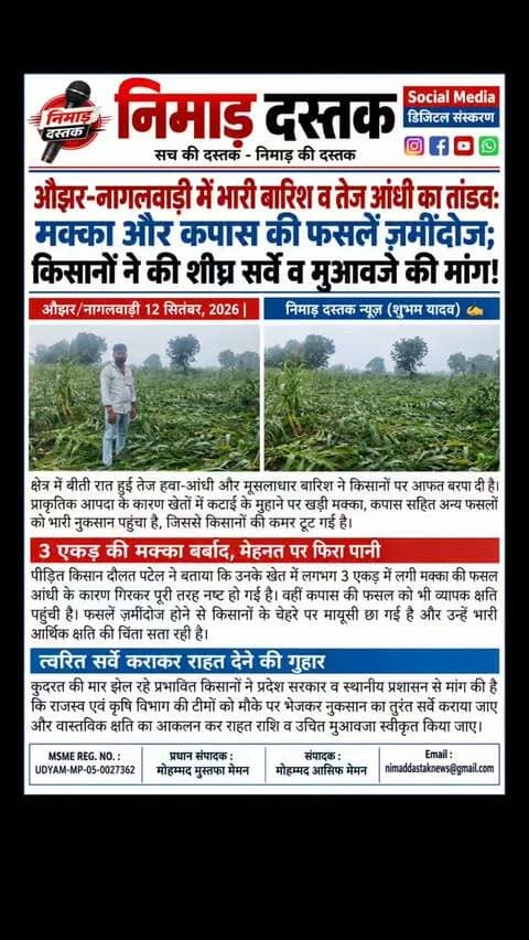औझर-नागलवाड़ी क्षेत्र में बीती रात हुई तेज आंधी और भारी बारिश से किसानों की फसलों को भारी नुकसान पहुंचा है। खेतों में खड़ी मक्का और कपास की फसलें गिरकर चौपट हो गई हैं। पीड़ित किसान दौलत पटेल ने बताया कि उनकी 3 एकड़ मक्का की फसल पूरी तरह नष्ट हो गई है। अन्नदाता पर आए इस आर्थिक संकट को देखते हुए प्रभावित किसानों ने सरकार से मांग की है कि फसलों का शीघ्र सर्वे कराकर उचित मुआवजा दिया जाए। अंचल की खबरों के लिए फॉलो करें 'निमाड़ दस्तक न्यूज़'। . .
#NimadDastakNews #AojharNews #NagalwadiNews #BarwaniNews #NimadNews