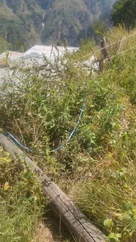 तोगी गांव में जमीन पर गिरे बिजली के खंभे से हादसे का खतरा
घरों की छतों और जमीन के ऊपर झूल रही बिजली की तारें, ग्रामीणों ने वीडियो जारी कर विभाग से लगाई गुहार
होली, 13 सितंबर।
भरमौर उपमंडल की ग्राम पंचायत नयाग्रां के गांव तोगी में बिजली व्यवस्था की बदहाल स्थिति ग्रामीणों के लिए गंभीर खतरे का कारण बनी हुई है। गांव में बिजली की सप्लाई से जुड़ा लकड़ी का खंभा जमीन पर लेटा हुआ है, जबकि बिजली की तारें जमीन और कुछ स्थानों पर घरों की छतों के ऊपर लटक रही हैं। ऐसे में कभी भी बड़ा हादसा होने की आशंका बनी हुई है।
ग्रामीणों के अनुसार, बिजली की तारें इस तरह से लटकी हुई हैं कि गांव में लोगों का सुरक्षित तरीके से चलना-फिरना भी मुश्किल हो गया है। वहीं खेतों में फसल निकालने के दौरान भी इन तारों से खतरा बना रहता है। ग्रामीणों का कहना है कि यदि समय रहते व्यवस्था को दुरुस्त नहीं किया गया तो किसी अप्रिय घटना से इनकार नहीं किया जा सकता।
ग्रामीणों ने आरोप लगाया कि इस समस्या को लेकर पहले भी संबंधित विभाग के समक्ष शिकायत की जा चुकी है, लेकिन अभी तक समस्या का स्थायी समाधान नहीं हो पाया है। ग्रामीणों ने अब मौके की स्थिति का वीडियो जारी कर बिजली विभाग से तत्काल कार्रवाई की मांग की है।
ग्राम पंचायत नयाग्रां की प्रधान अंजू बाला ने भी मामले को गंभीरता से लेते हुए बिजली विभाग से तुरंत कार्रवाई करने की मांग की है। उन्होंने कहा कि गांव में बिजली की तारों और खंभे की स्थिति बेहद चिंताजनक है। विभाग को बिना किसी देरी के मौके पर टीम भेजकर खंभे को सुरक्षित रूप से स्थापित करने और लटकती तारों को व्यवस्थित करने की आवश्यकता है, ताकि ग्रामीणों की सुरक्षा सुनिश्चित हो सके।
ग्रामीणों ने कहा कि बिजली जैसी आवश्यक सुविधा के लिए विभाग की ओर से सुरक्षा मानकों का ध्यान रखा जाना बेहद जरूरी है। उनका कहना है कि किसी हादसे के बाद कार्रवाई करने के बजाय विभाग को पहले ही इस गंभीर समस्या का समाधान करना चाहिए।
ग्रामीणों ने प्रशासन और बिजली विभाग से तत्काल मौके का निरीक्षण कर जमीन पर पड़े खंभे और झूलती बिजली की तारों को ठीक करवाने की मांग की है, ताकि संभावित दुर्घटना को समय रहते रोका जा सके।